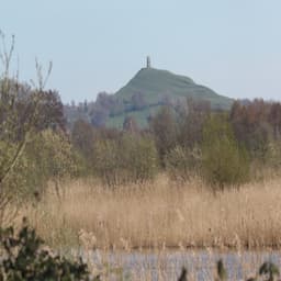 Exploring the Enchantment of Avalon Marshes: A Summer Solstice Adventure