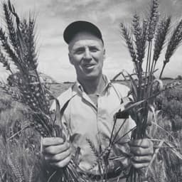 [History of Agriculture] Norman Borlaug and the Green Revolution