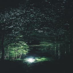 Wings in the Woods: A Night of Moths and Bats in an Ancient Woodland