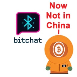 China Deletes BitChat | Bitcoin News