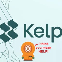 Stoopid Again | Bitcoin News