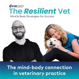 The mind-body connection in veterinary practice