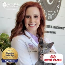 Beyond insulin: What’s new in feline diabetes