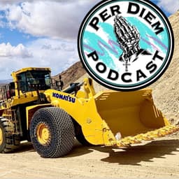 Practicality Over Romance: Navigating Business Decisions and Scaling Challenges