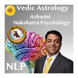 Ashwini Nakshatra × NLP Meta-Programs