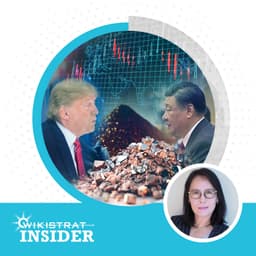 Exploring the Geopolitics of Rare Earth Minerals