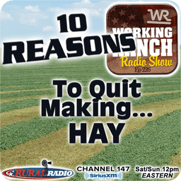 Ep 226: Ten Reasons You Should Quit Making Hay