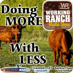 Ep 228: Doing More with Less: Precision Ranching with Chip Kemp