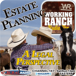 Ep 229: A Legal Perspective on Estate Planning