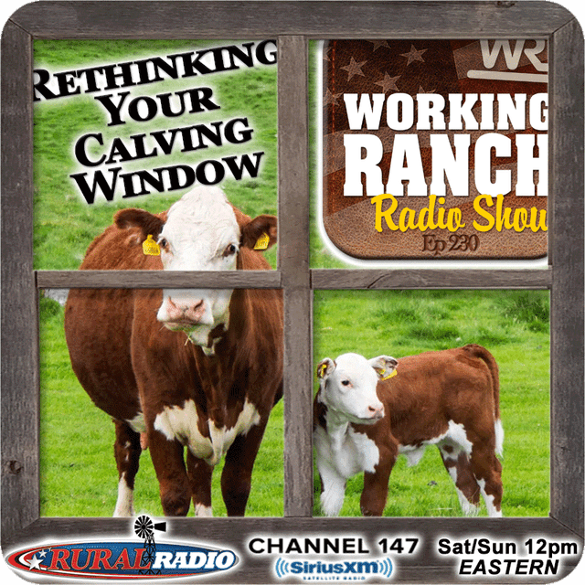 Ep 230: Rethinking Your Calving Window