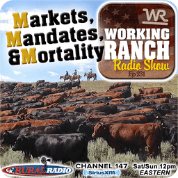 Ep 231: Markets, Mandates, and Mortality w/ Dr. Nevil Speer