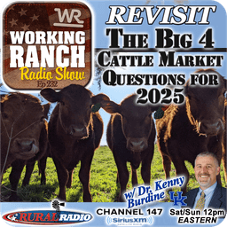 Ep 232: Revisiting the Four Big Cattle Market Questions w Dr. Kenny Burdine