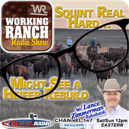 Ep 233: Squint Real Hard… and You Might See a Rebuild w Lance Zimmerman