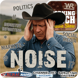 Ep 236: Cutting Through the Noise w/ Allan Crockett