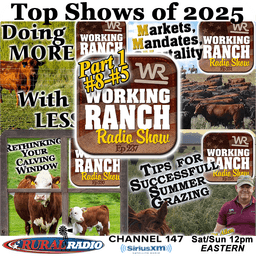 Ep 237: Top Shows of 2025 Part 1: Highlights from #8–#5