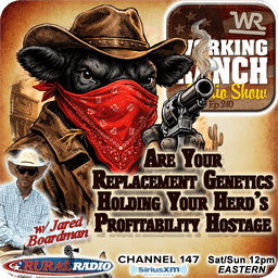 Ep 240: Are Your Replacement Genetics Holding Your Herd’s Profitability Hostage w/ Jared Boardman