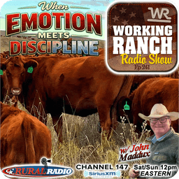 Ep 241: When Emotion Meets Discipline in the Cow Herd w/ John Maddux