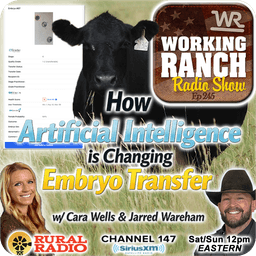 Ep 245: How Artificial Intelligence is Changing Embryo Transfer w/ Cara Wells & Jarred Wareham
