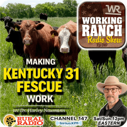 Ep 249: Making Kentucky 31 Fescue Work—and What It Teaches About Grazing Management w/ Dr. Harley Naumann