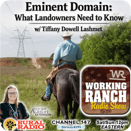 Ep 250: Eminent Domain: What Landowners Need to Know w/ Tiffany Dowell Lashmet
