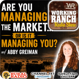 Ep 252: Are You Managing the Market… or Is It Managing You? w/ Abby Greiman
