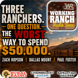 Ep 254: Three Ranchers. One Question. The Worst Way to Spend $50,000.