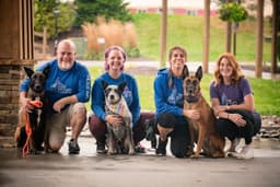 The Dog Wizard Announces Early-Intervention Training Guidance Following Research Showing Nearly Half of Puppies Develop Separation Anxiety by Six Months