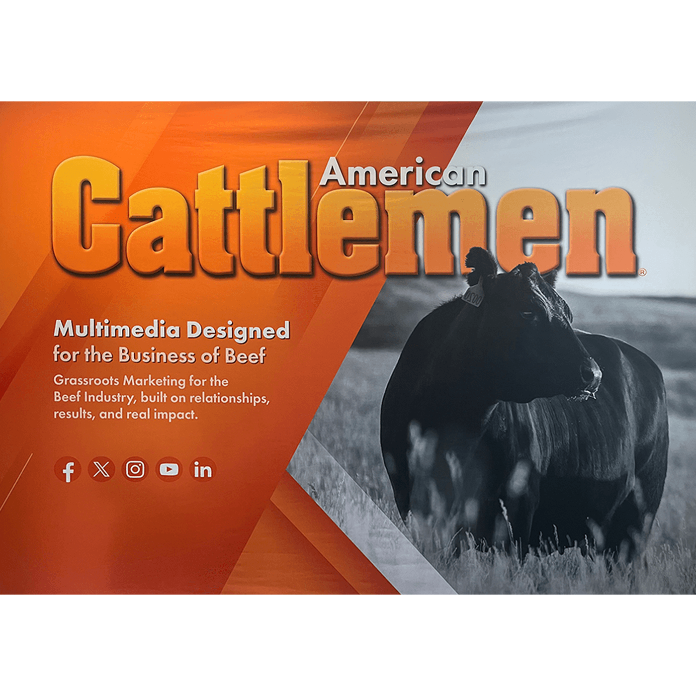 American Cattlemen Podcast