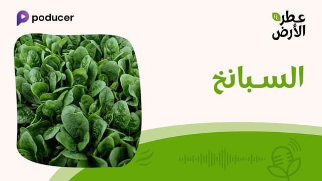 EP004  | السبانخ