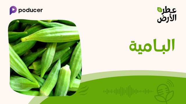 EP008  | البامية