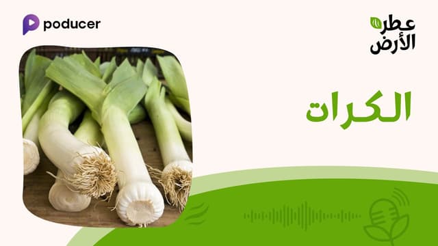 EP017  | الكرات