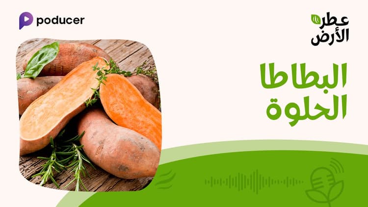 EP020 | البطاطا الحلوة