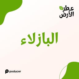 EP007  | البازلاء