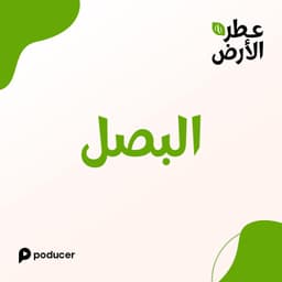 EP009  | البصل