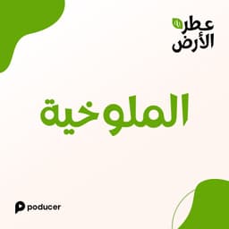 EP019 | الملوخية