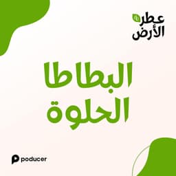 EP020 | البطاطا الحلوة