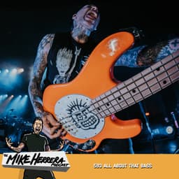 All About That Bass #593