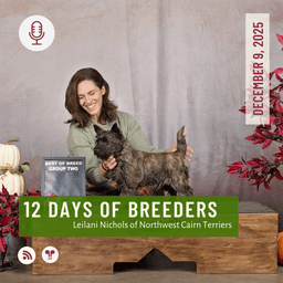 12 Days of Breeders 2025 - #9 - Leilani Nichols of Northwest Cairn Terriers