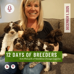 12 Days of Breeders 2025 - #1 - Kim McGuirk of Newbliss Chicago Lagotto