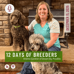 12 Days of Breeders 2025 - #11 - Andrea Gardner of Desert Sky Poodles