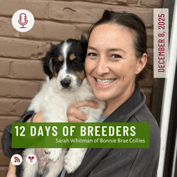 12 Days of Breeders 2025 - #8 - Sarah Whitman of Bonnie Brae Collies