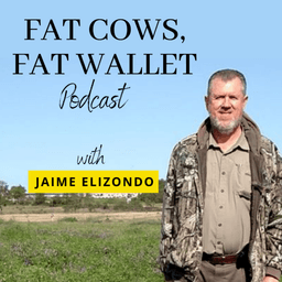 #176 I Thought I Was Doing Everything Right… Until This