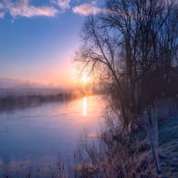Back to the Light: Celebrating the Spring Equinox