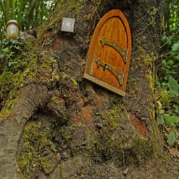 Exploring the Enchanted Hundred Acre Wood: An Expedition into Winnie the Pooh's World