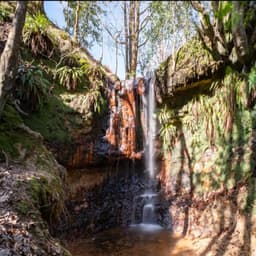 Discovering the Hidden Waterfalls of Sussex