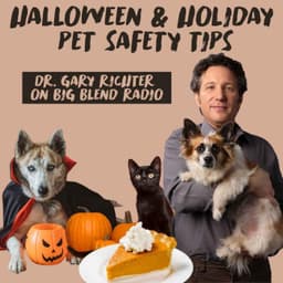 Dr. Gary Richter: Halloween & Holiday Pet Safety Tips