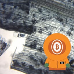 Mycorhizae | Bitcoin And Revisited