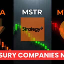 Is the Bitcoin Treasury Company Boom About to BURST? | The CBP 242 Pt 1