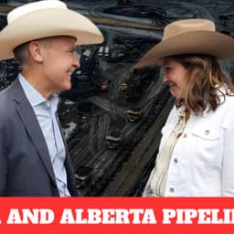 The Somalian Scam - Why Immigration Needs to Be Completely Revamped | Sip and Rip 006