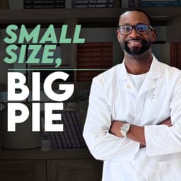 The Art of Scaling: Small Piece of a Big Pie